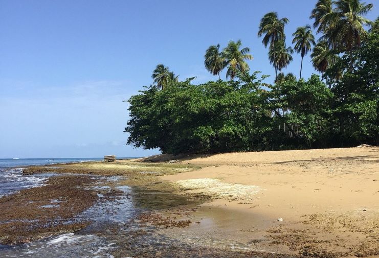 image of Tres Palmas Marine Reserve