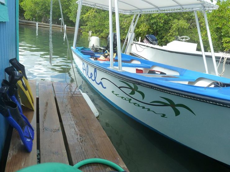 image of Alelí Tours boat