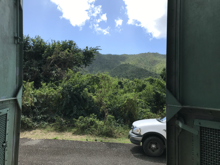 puerto rico bio bay tour vieques