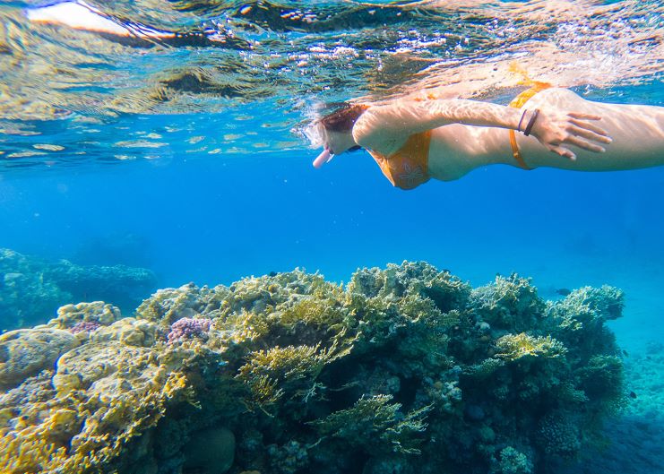 image of a girl snorkeling in Icacos Island 