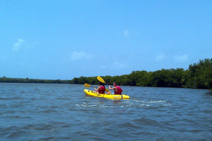 image showing kayaking in Mosquito Bay