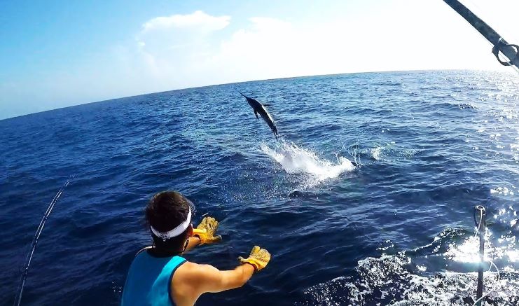 image showing fishing a marlin in Puerto Rico’s waters