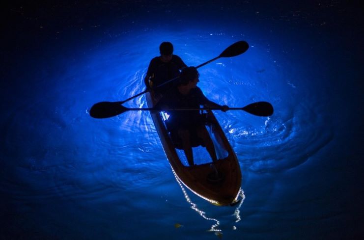 image of guys kayaking at night 