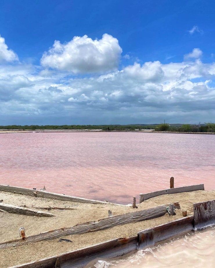 image of pink salt lake