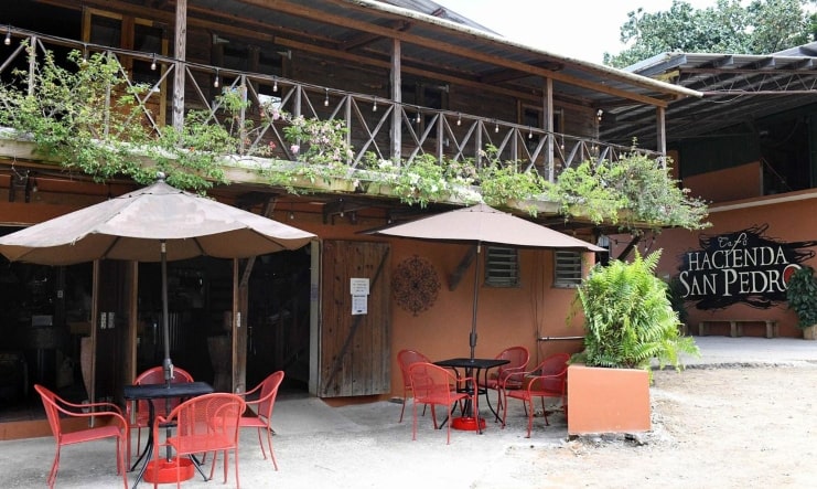 image of Café Hacienda San Pedro