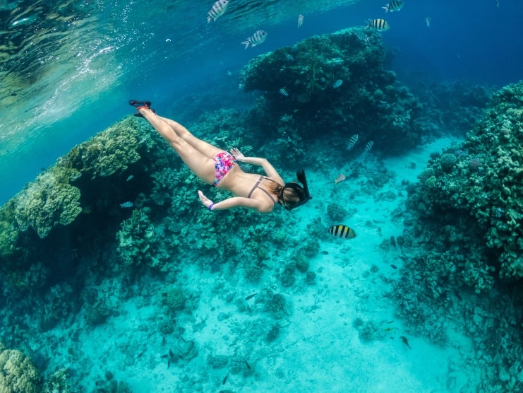 image of a woman snorkling