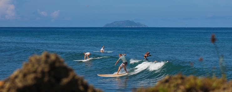 image of surfers at the beach