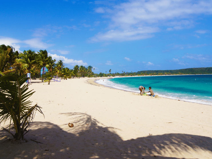 mosquito bay tour