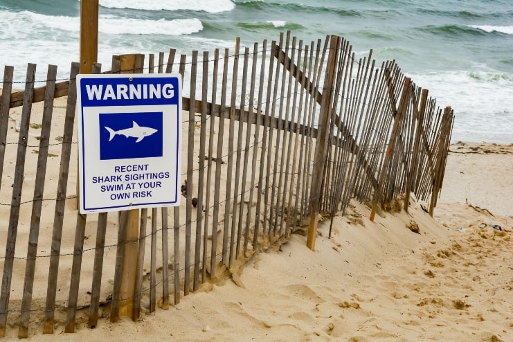 image of Great White Shark warning sign