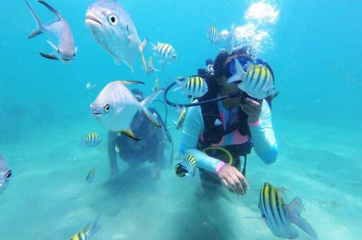 image showing a scuba diving experience in Isla Verde.