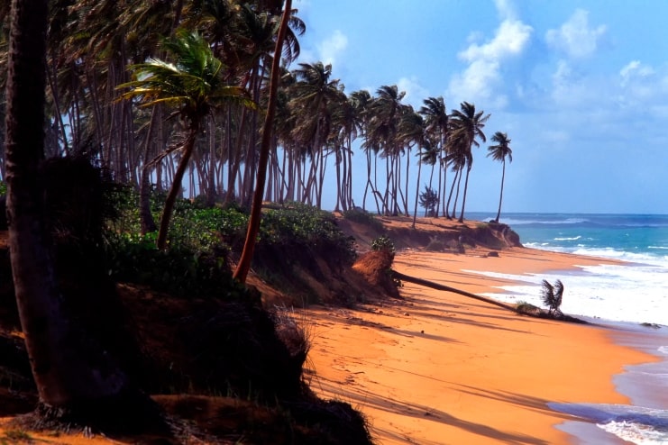 image of Shoreline along Piñones