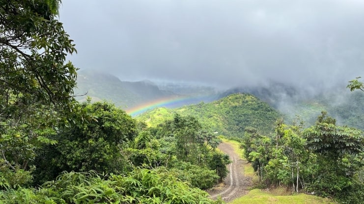 image of The Heart of Puerto Rico