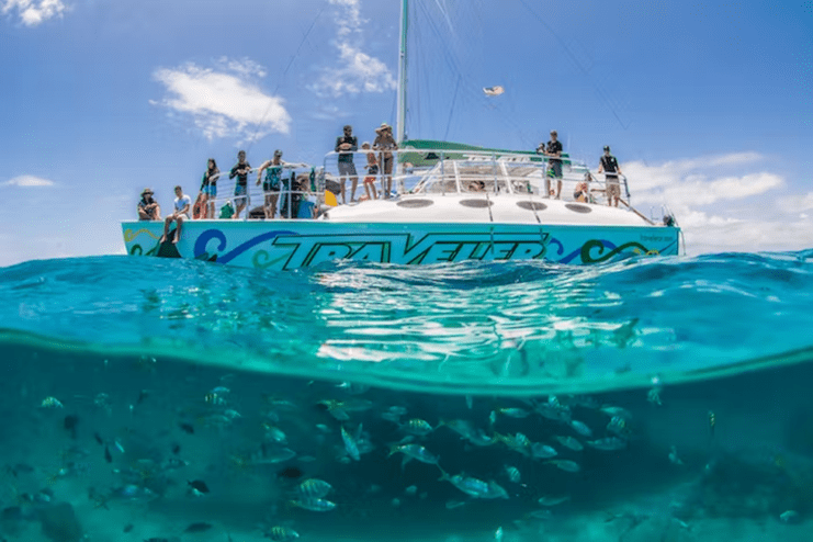 image of Traveller Catamaran boat