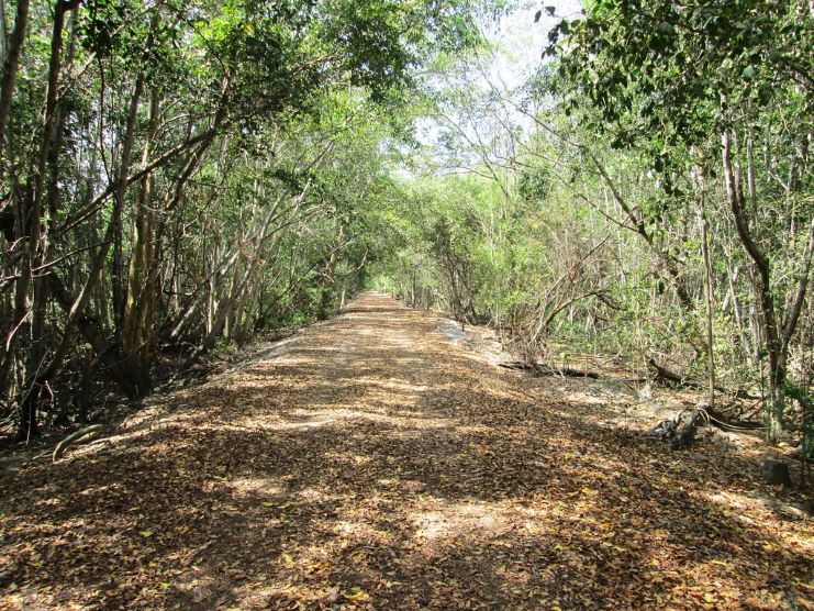 image of Boqueron Wildlife Refuge