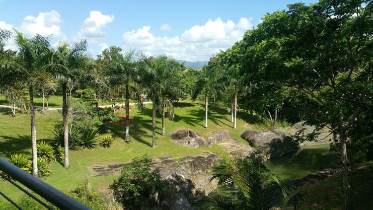 image Caguas Botanical Gardens