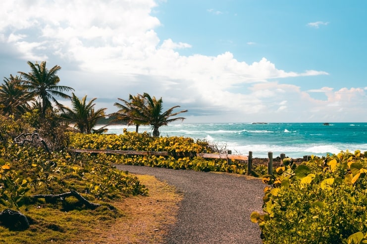 image of tropical coast