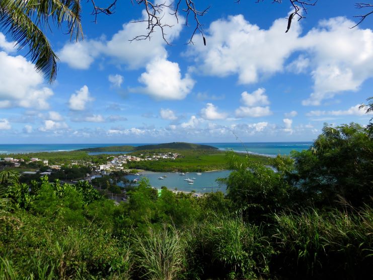 image of Mundo Tropical Barrio Naranjo