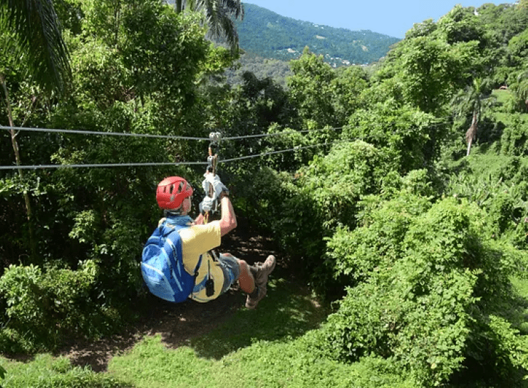 image of a guy riding a rainforest zipline