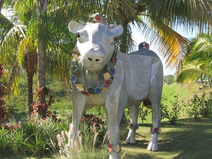 image of a cow statue