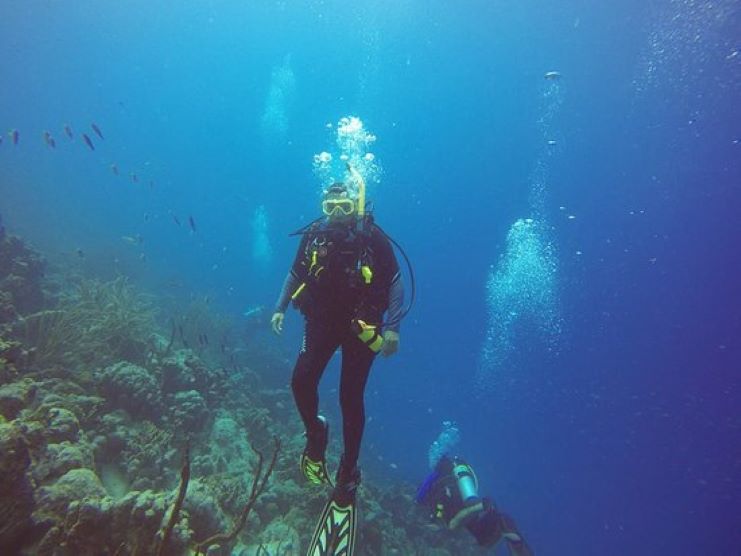 image of a guy scuba diving at The Wall