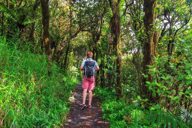 image of an adventurous tourist hiking