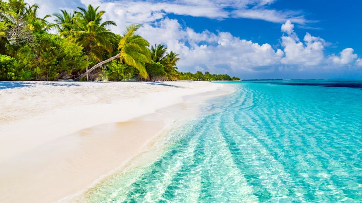 image of a beach in Bahamas