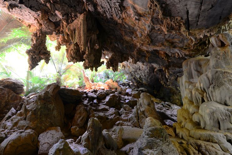 image of Camuy Cave