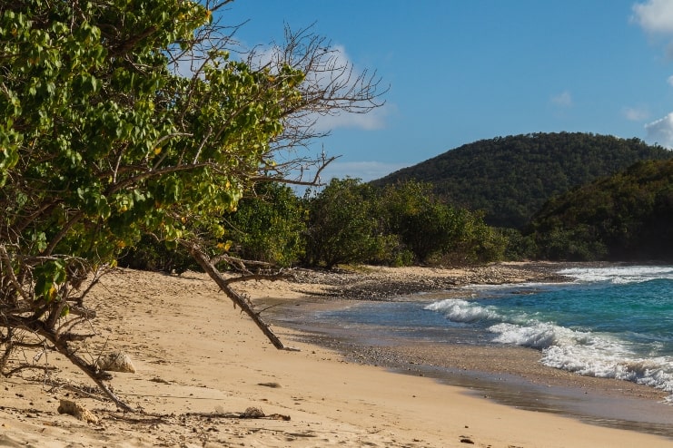 image of Carlos Rosario Beach