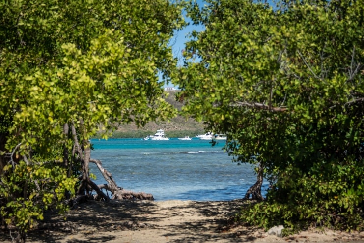 image of Isla de la Mona