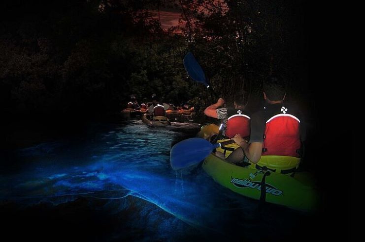 image of kayakers in a bioluminescent bay in Puerto Rico