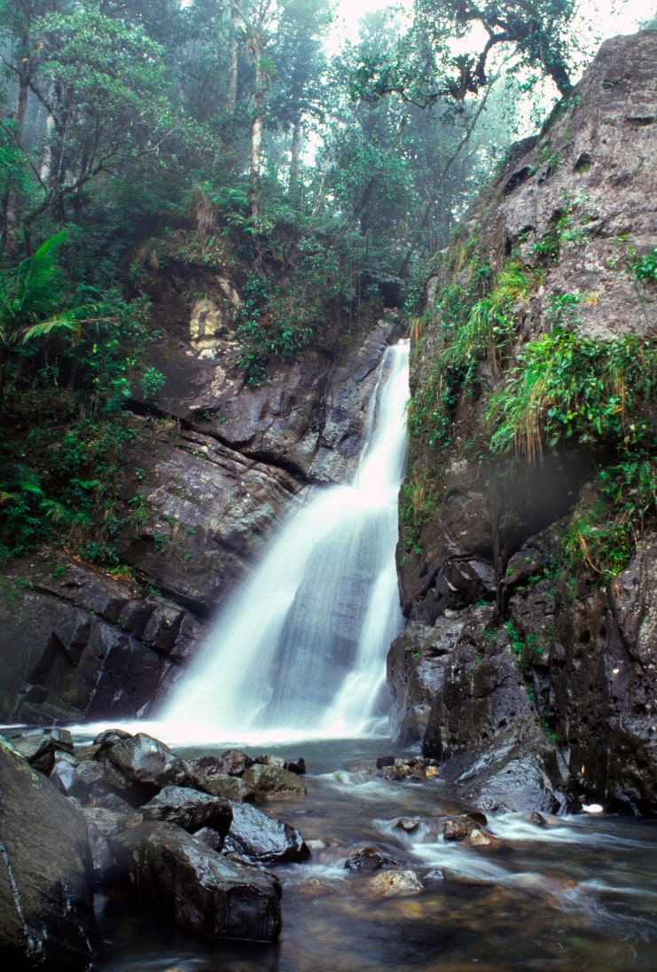 image of La Mina Falls