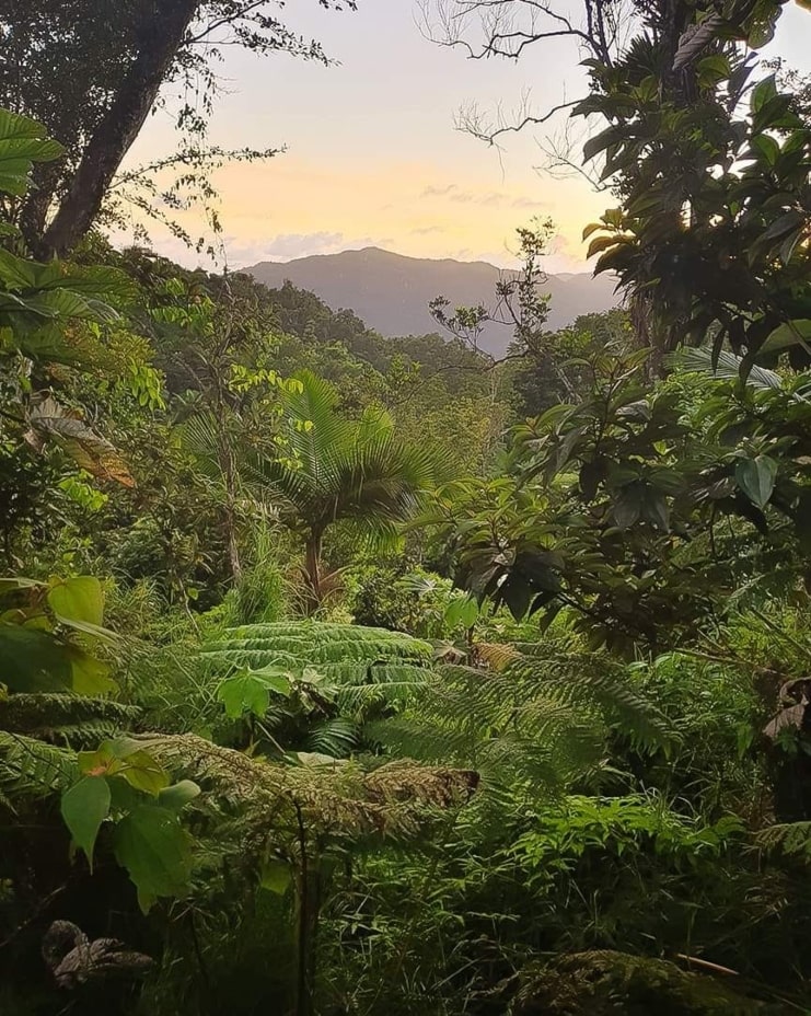 image of Las Casas de la Selva