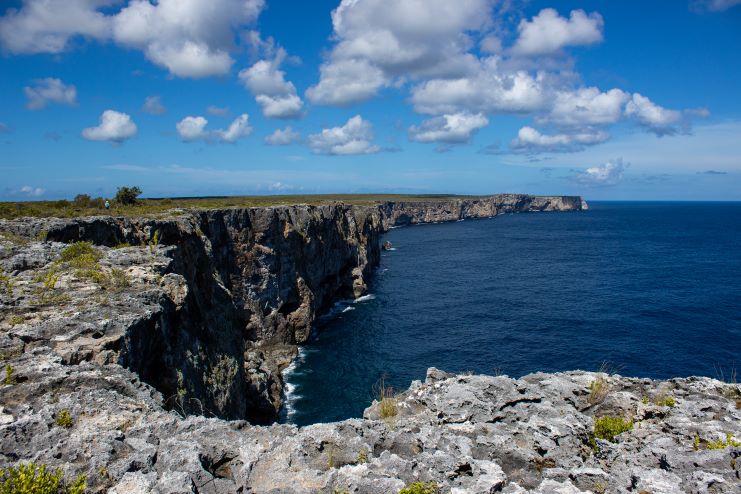 image of the cliffs at Mona Island