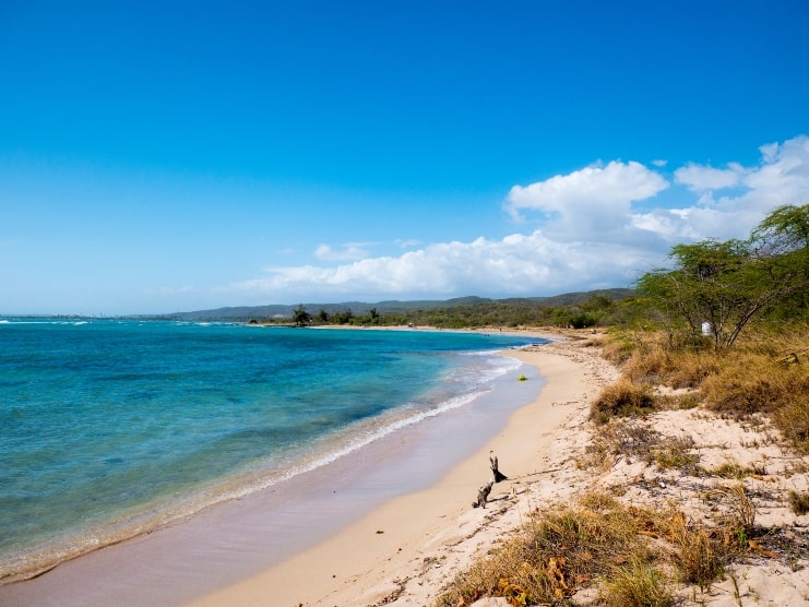 image of beach at Guanica Reserve