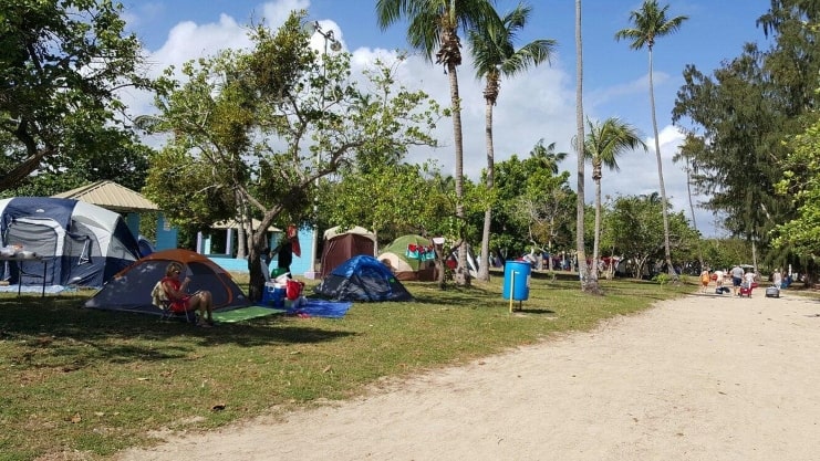 image of the beachfront campsite