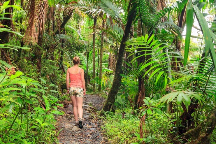 image of lady hiker