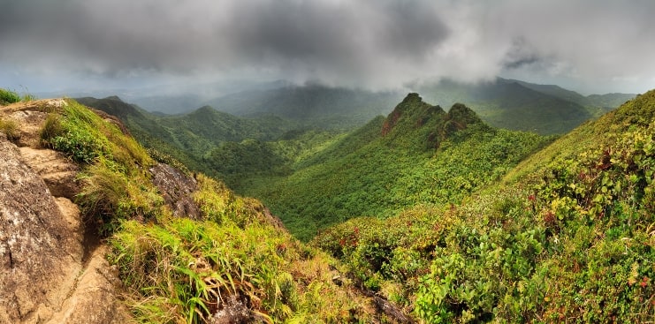 image of El Yunque national fores