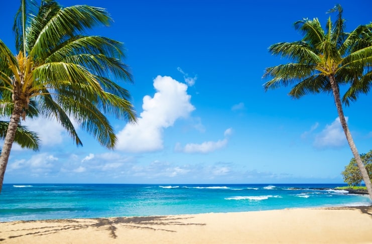 image of sandy beach in Hawaii, Kauai