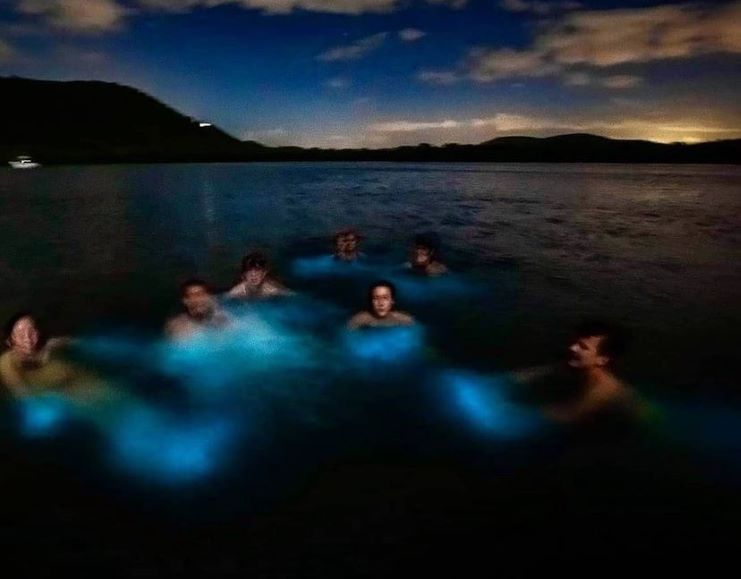 image of the bioluminescent bay in PR