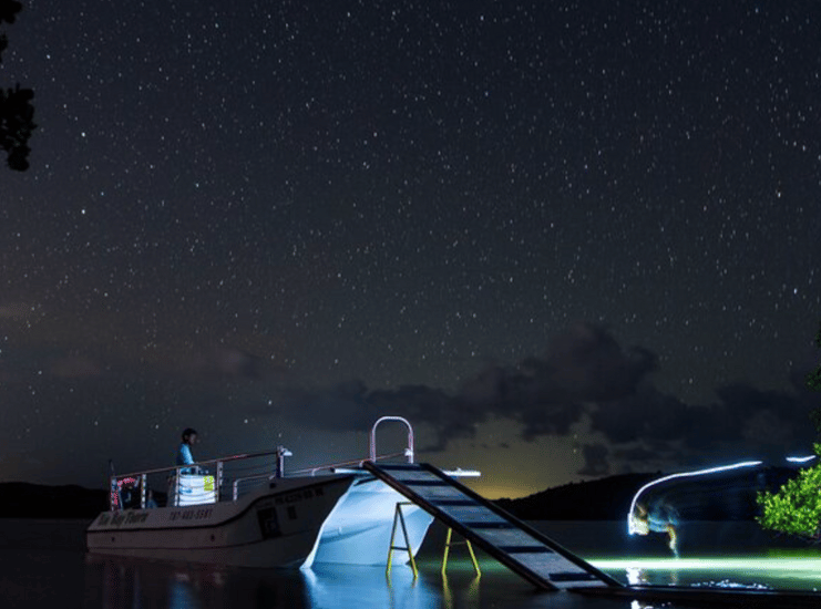 bioluminescent bay kayaking tours